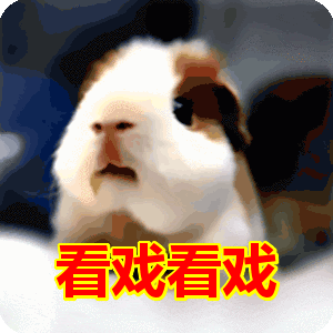 300_300gif 动态图 动图