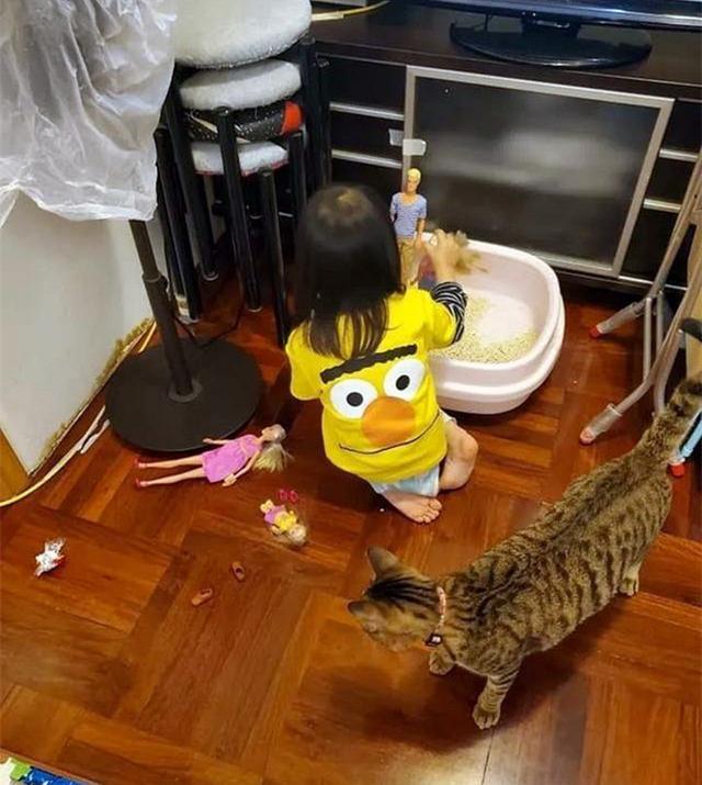 ae5cfcec760f4c08bc1c5952de6688c1.jpeg