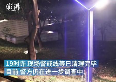 女童19楼坠落身亡现场曝光 详情始末细节揭晓