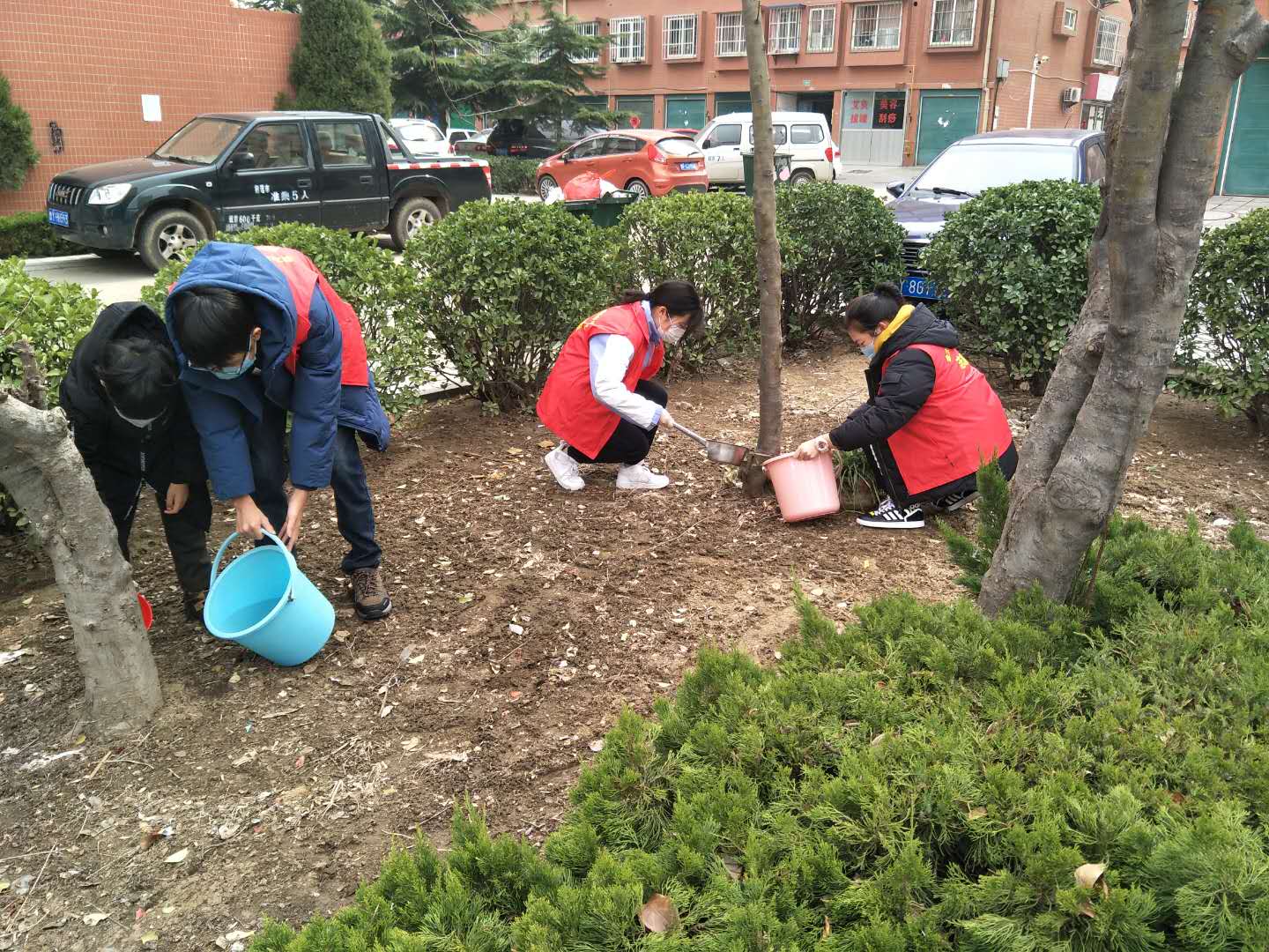 疫情下的3月12日,招远金太阳志愿者用不一样的方式打开了植树节!