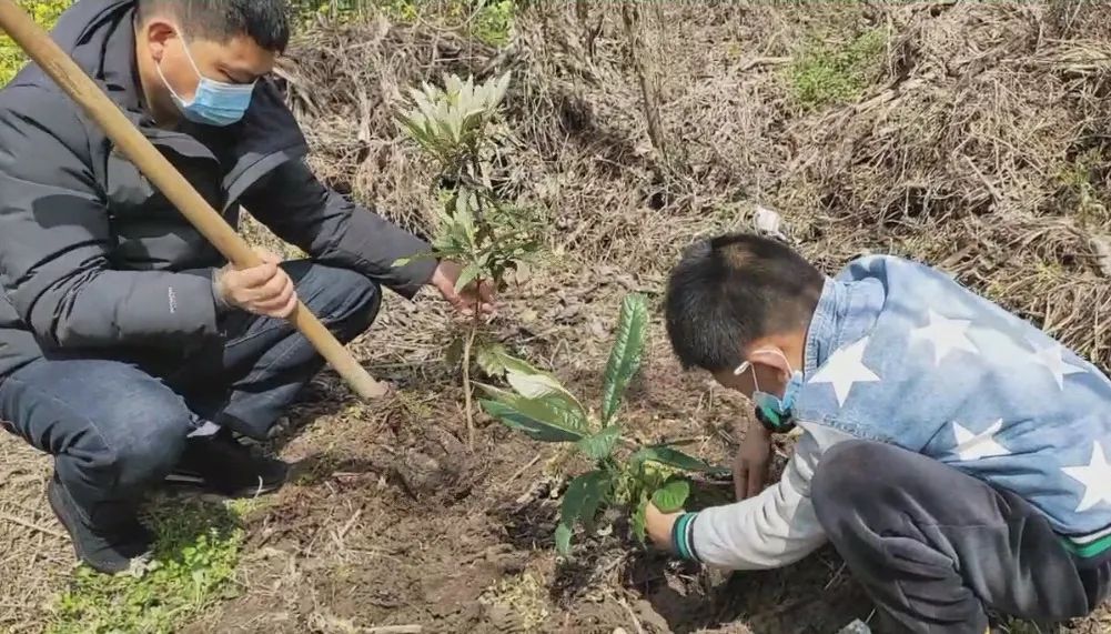 队员 李文清 在温暖午后  亲子齐上阵  一起纪念这个特别的"植树节"