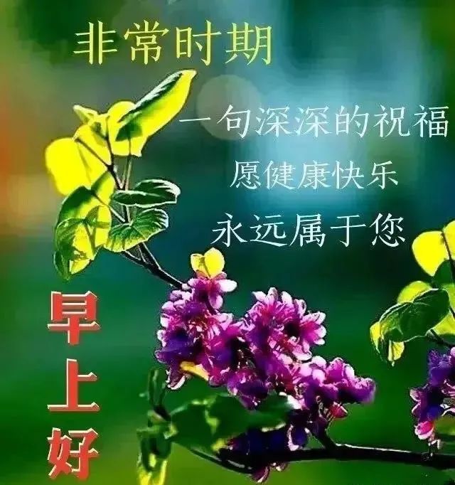 漂亮的早上好祝福语带图片唯美