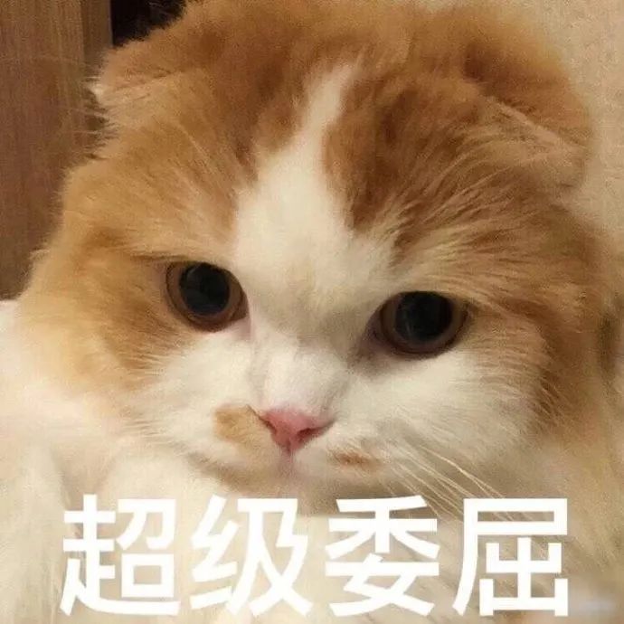 猛男表情包|生气,完全生气!_闪萌