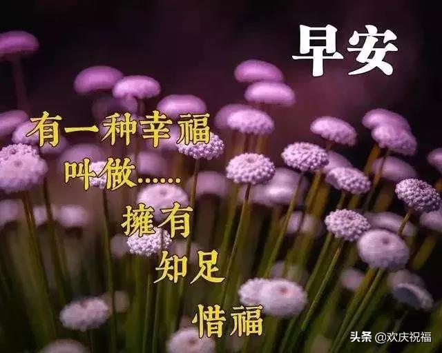 2020超漂亮早上好问候语图片大全