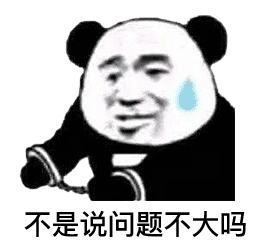 表情不准发了我不是那种人熊猫头表情