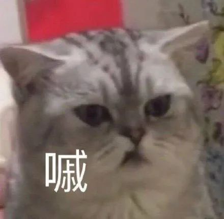 猛男表情包|生气,完全生气!