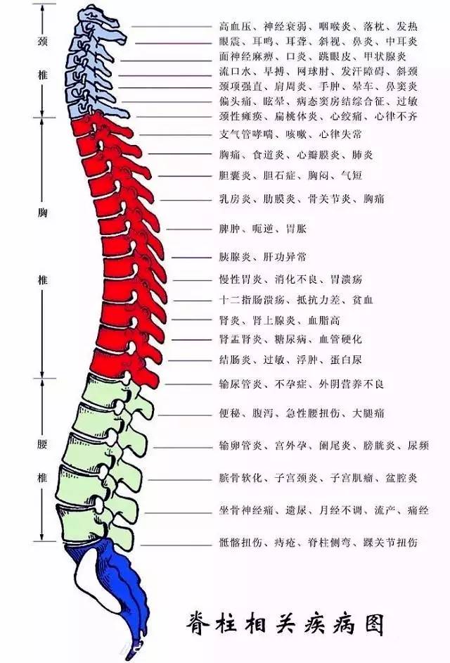 胸椎不舒服五脏六腑也好不到哪了