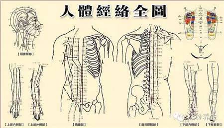 1,任脉位于正前胸,心脏脾胃行不通;上连乳腺下子宫,万一不通变老翁.