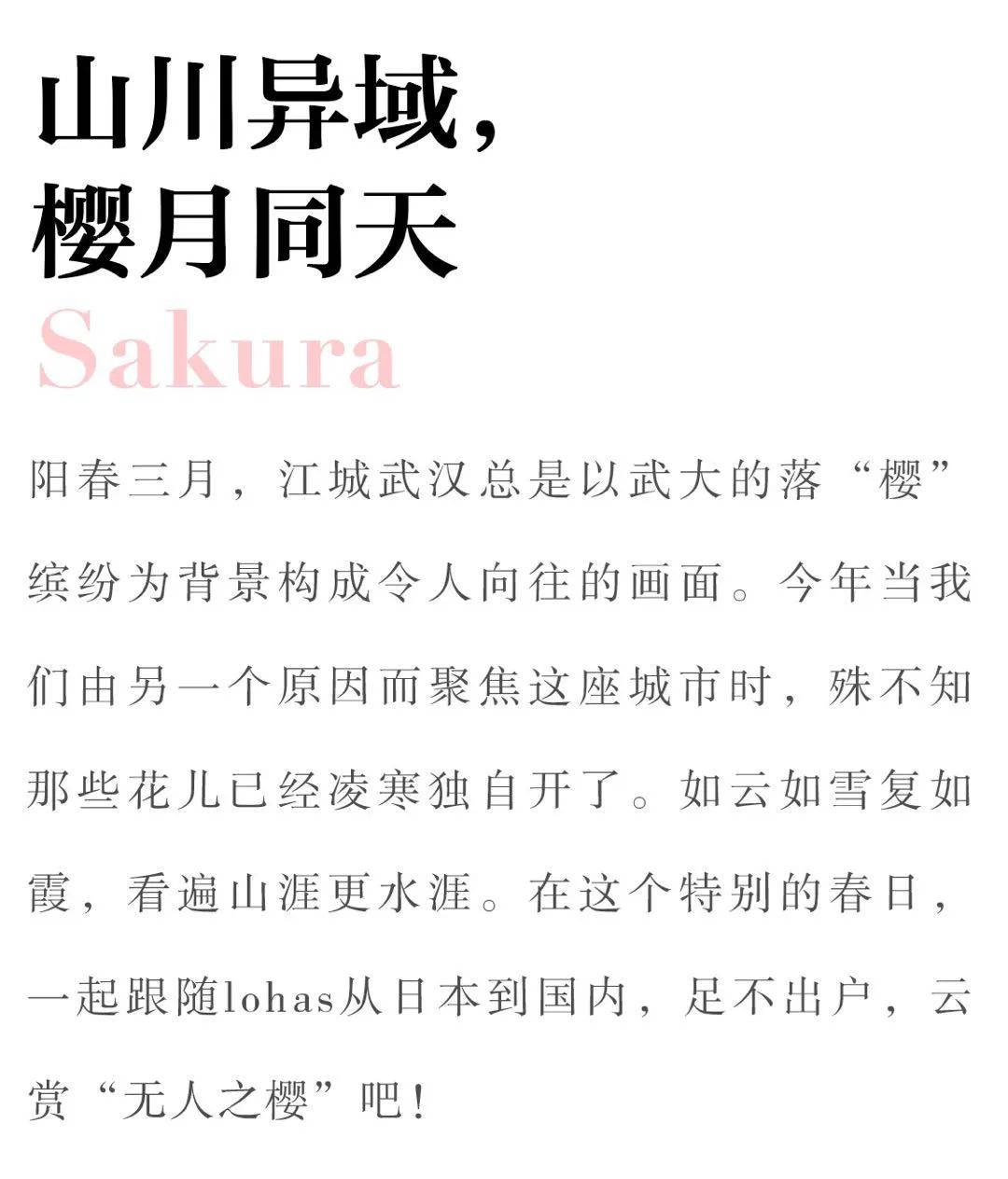 同异皆空简谱_同形异变创意图形(3)