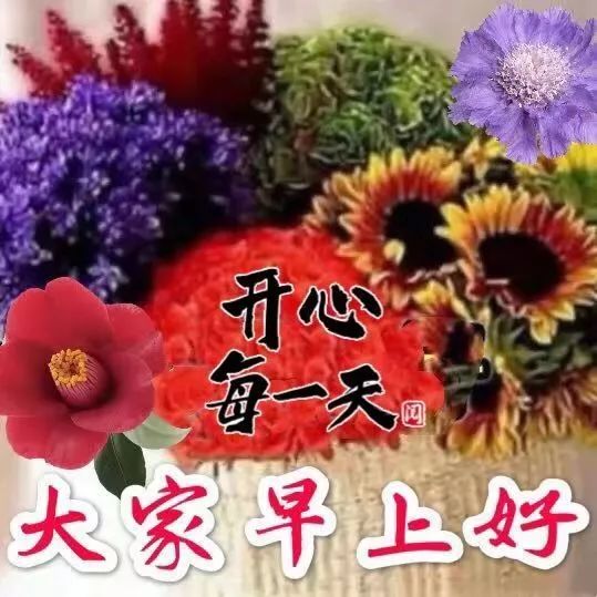 非常漂亮早上问候语表情动画 2020最新漂亮清晨祝福