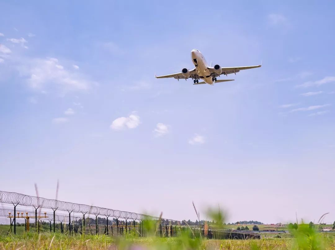 2020年成都排名前四_五一游热度榜成都第四!出行先做好这些