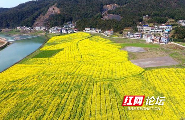 在希望的田野上丨网友用无人机赏春：益阳马迹