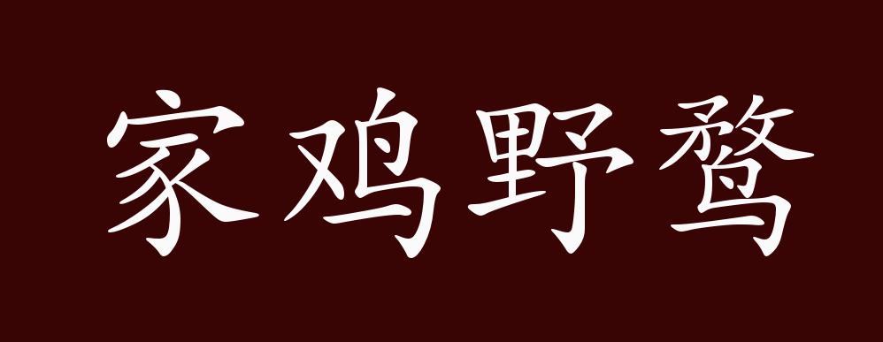 家鸡野鹜的出处,释义,典故,近反义词及例句用法 - 成语知识