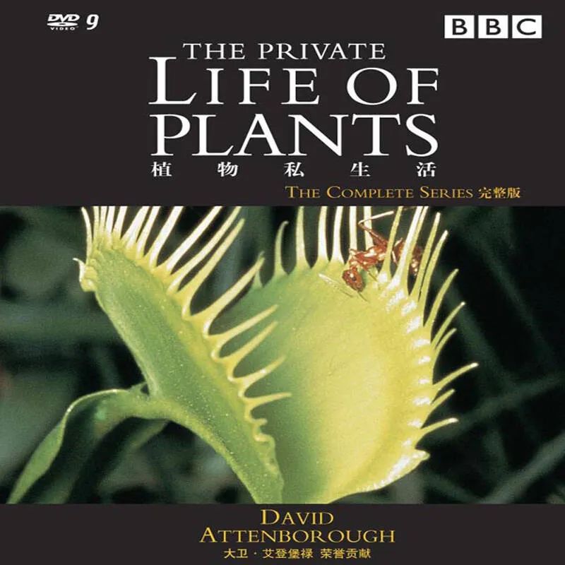 植树节 | 种下绿色,种下希望