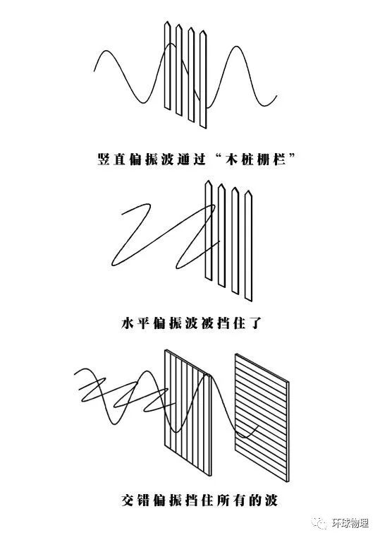 〔图1-2 竖直偏振波通过了垂直栅栏.