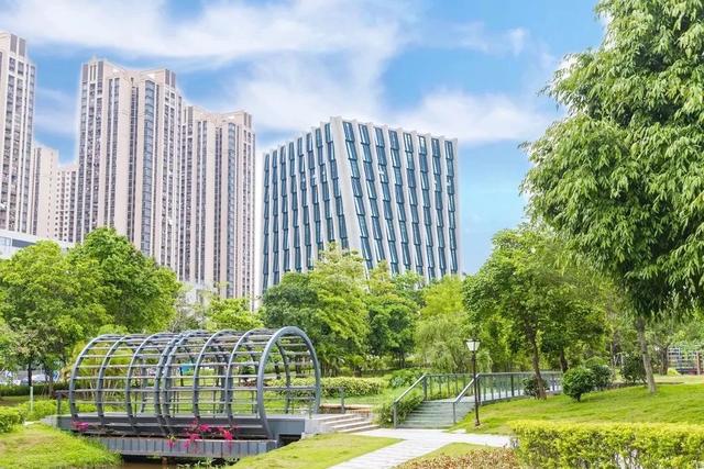 深圳坪山区经济总量增长示意_深圳坪山区(2)