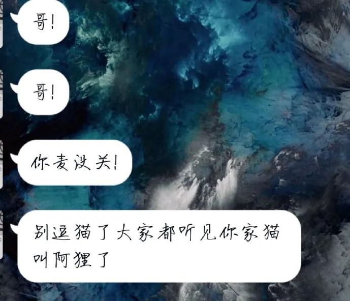 今天上网课的时候，老师给我们直播撸猫…