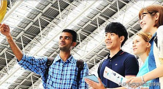 2020年日本药学院校_2020泰晤士高等教育日本大学排名出炉!第一