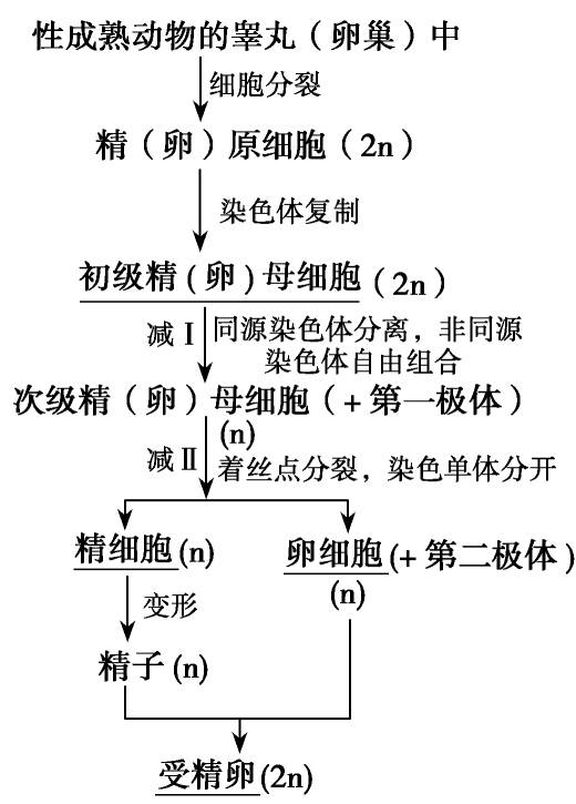 4f6c7944228b4af8ab1c6d68b1467f62.jpeg