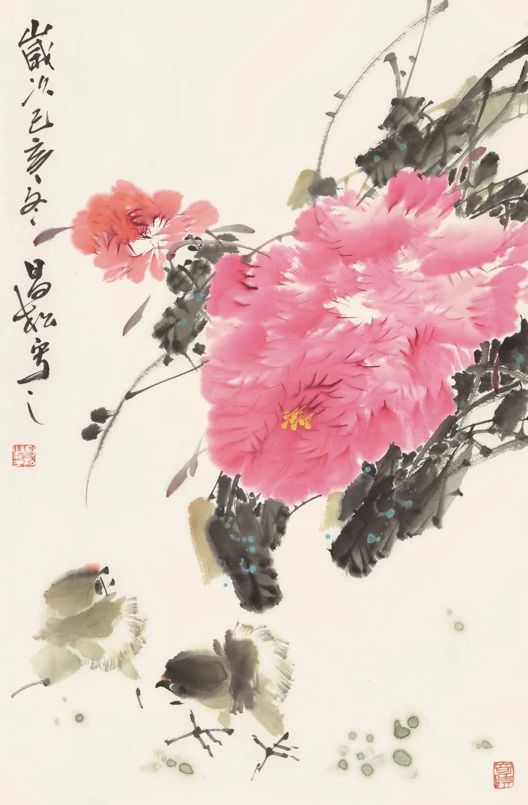 文章配图-11