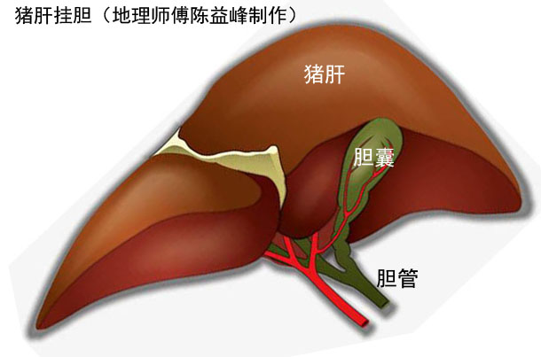 成语什么肝挂胆_成语故事简笔画