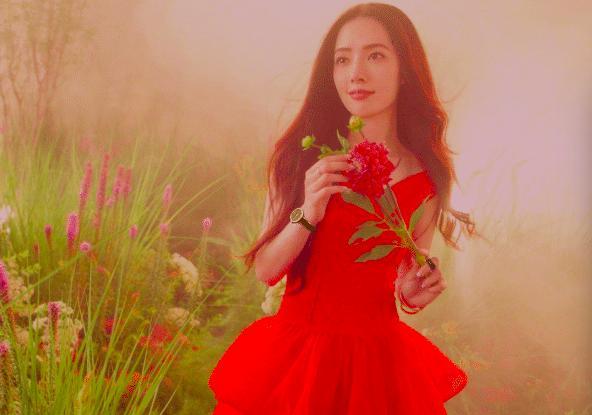 向佐郭碧婷是在拍结婚吗，两人依偎在梦幻花丛