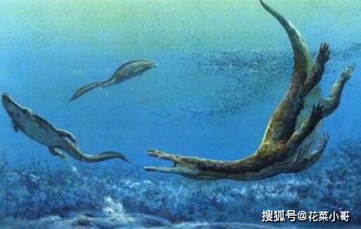 史前巨兽排名_史前海洋巨兽排名