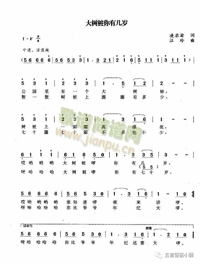 011 疗愈之笛 · 大树桩你有几岁