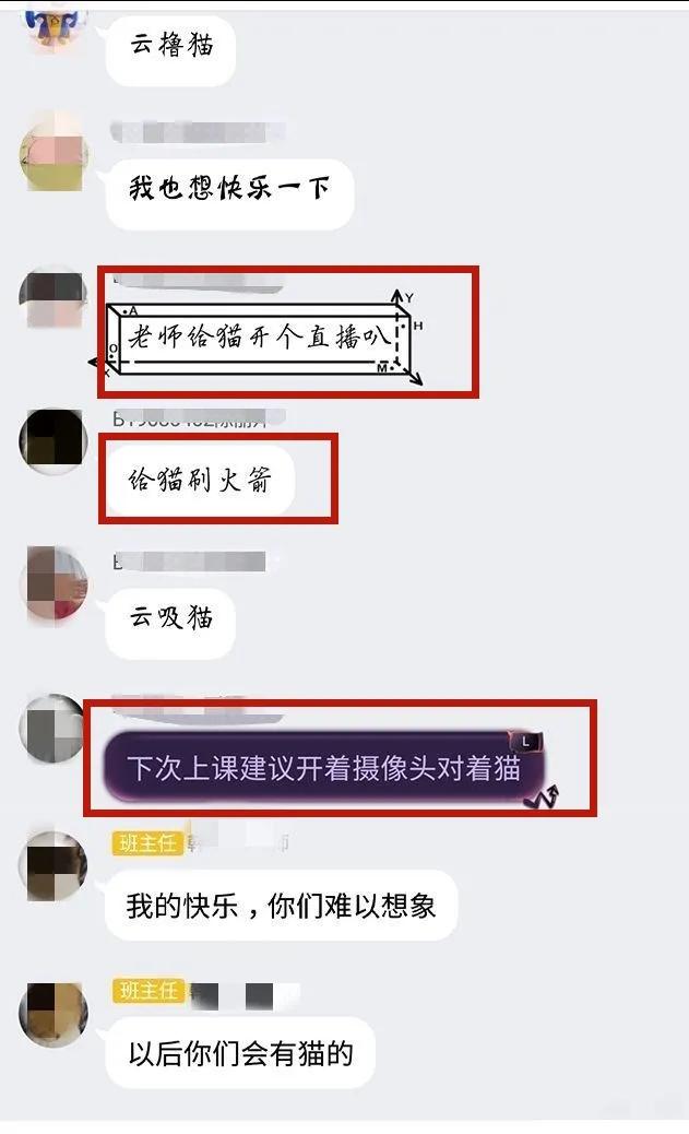 今天上网课的时候，老师给我们直播撸猫…