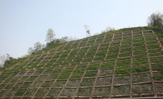 三维植被网护坡,浆砌片石骨架植草护坡,蜂巢式网格植草护坡结合使用