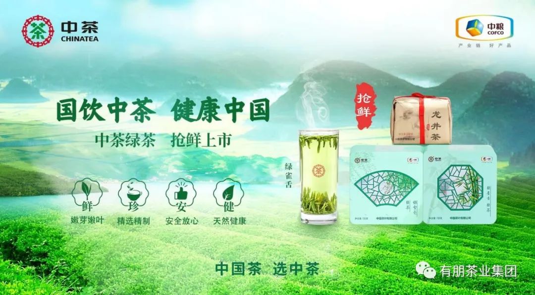 每个春天的期待||中茶新绿