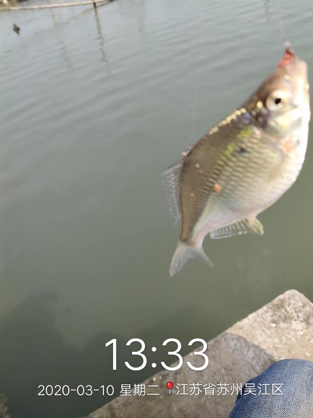 b2d4d6c699594e30bfe80398693e1a02.jpeg