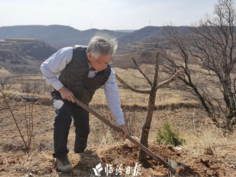 21年乡宁这俩倔老头把绿色铺满山野