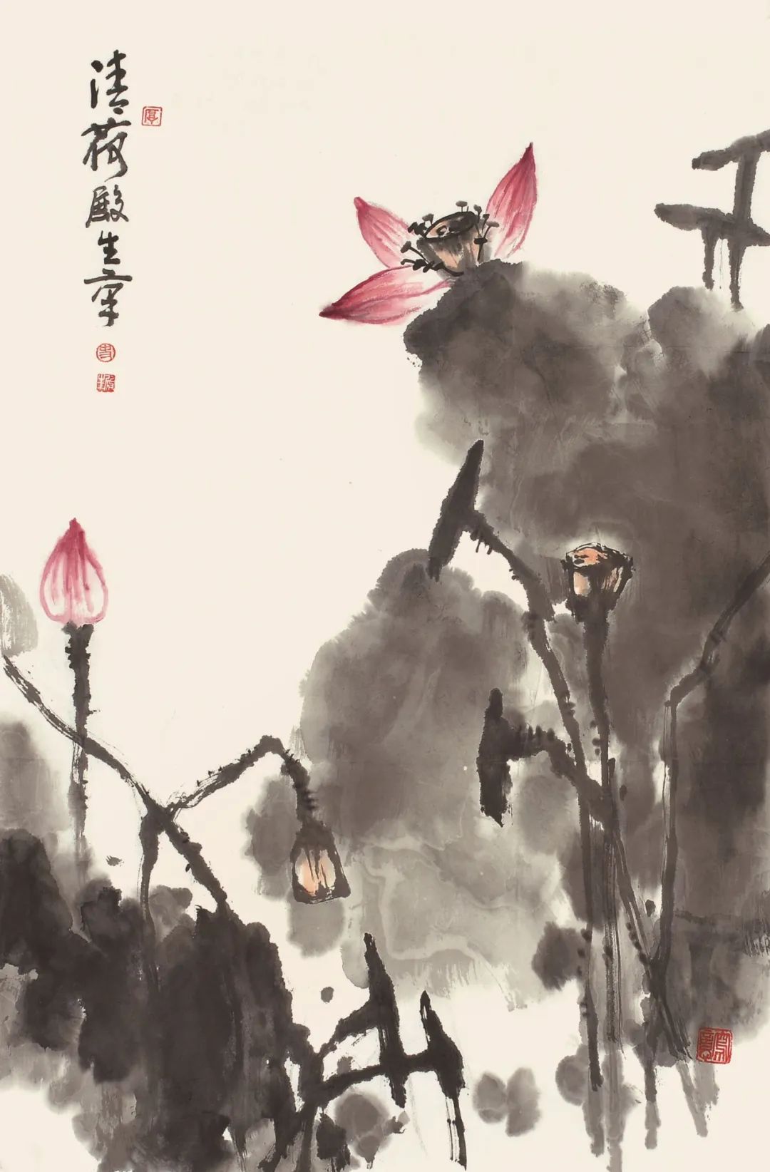 文章配图-4
