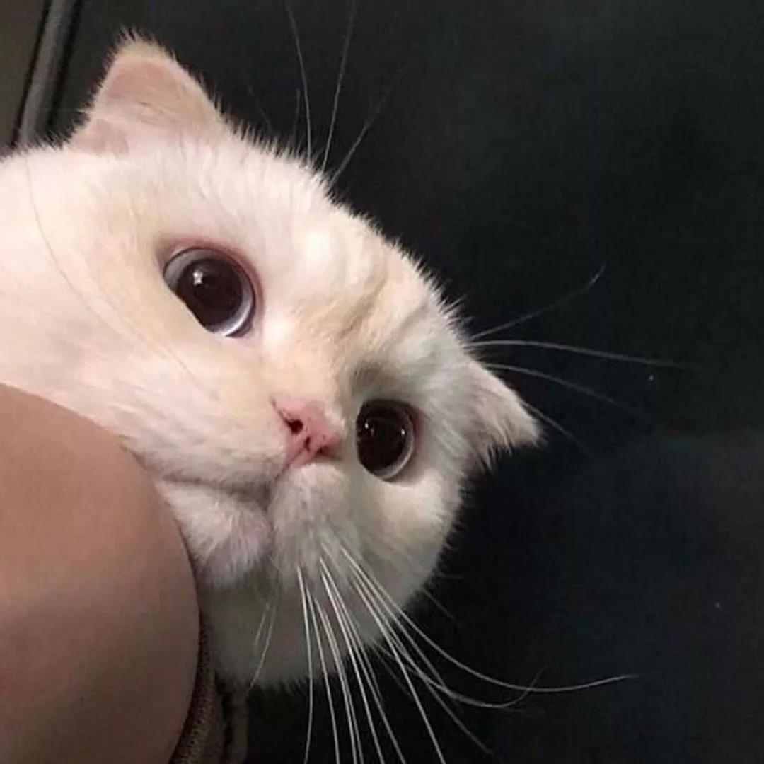 潮流头像壁纸潮图 2020年3月13日