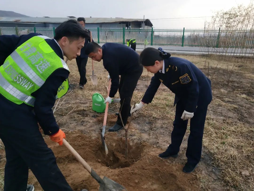 守护绿意 拥抱春天—陇南高速公路处植树节活动特辑_站区