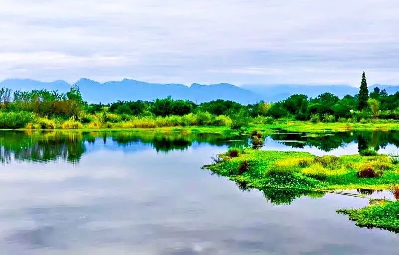 骑车一路都是绝美的风景满心满眼都是繁花锦簇和山水风光"醉美"温江