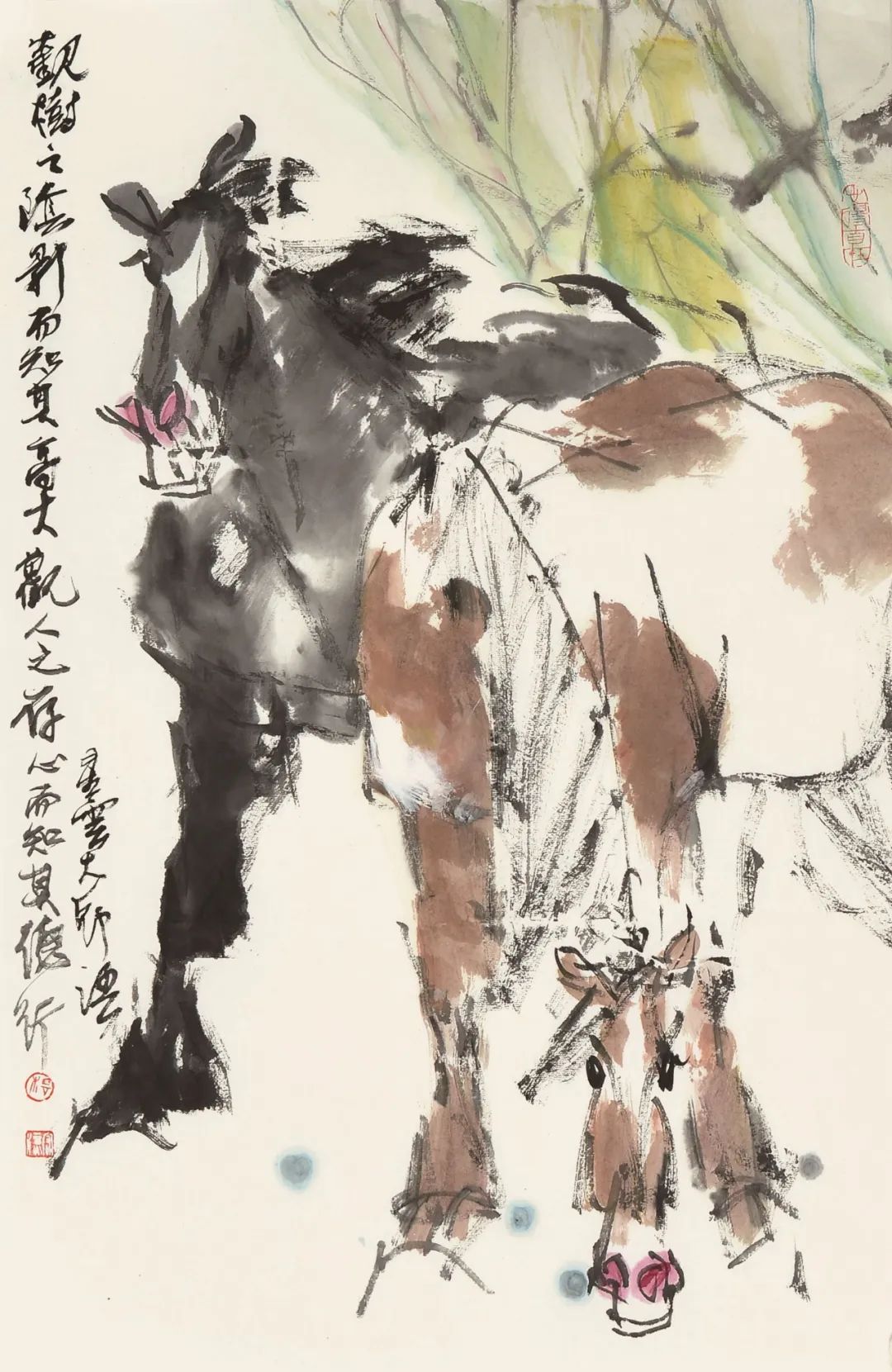 文章配图-38