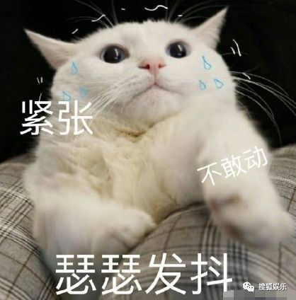 什么是做作的意思 e188b168a24b4724aa8ad7578a4662ea.jpeg