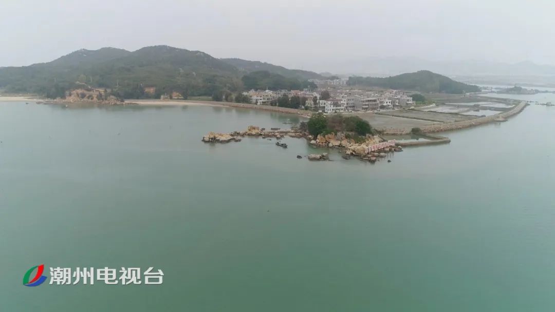 成群海豚现柘林湾追逐嬉戏,视频→_饶平县