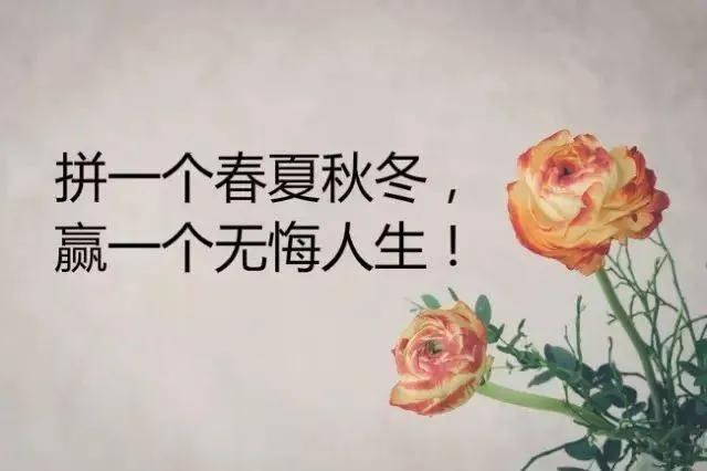 拼一个春夏秋冬;赢一个无悔人生;早安