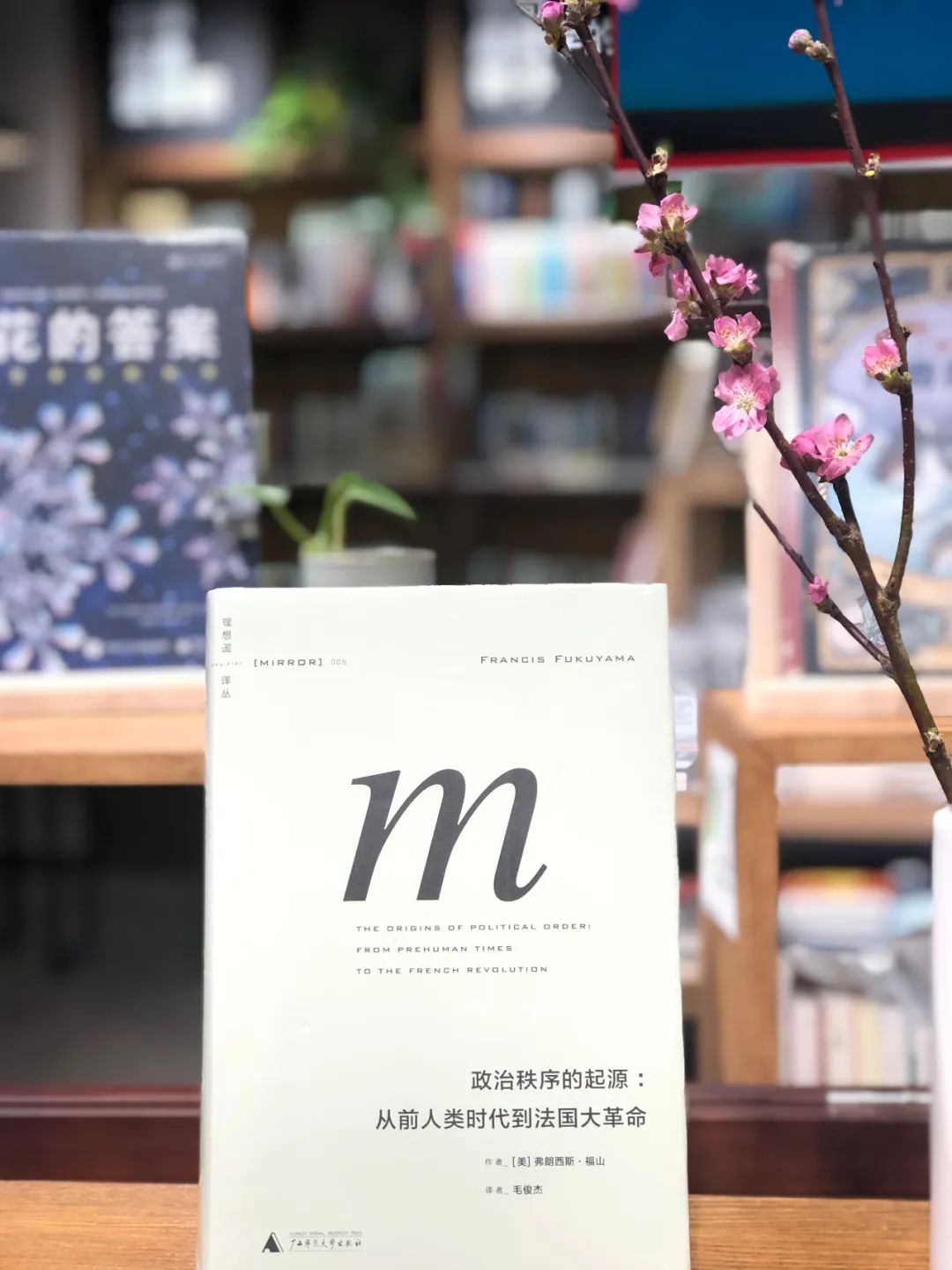 精挑细选,书惠到家——99元定制套餐等你下单