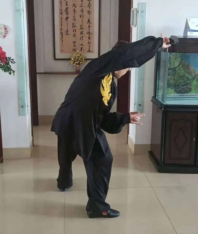 淄博市体育总会邀请您:居家防疫 科学健身 一起学习健身气功·五禽戏