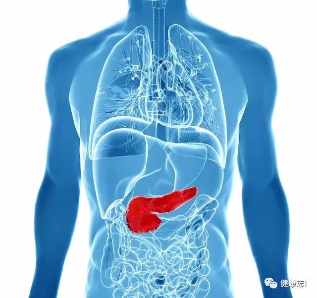 这3个症状是胰腺的求救信号,不在乎,当心丢掉性命!