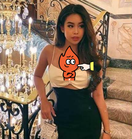 2020越南首富十大排名十大富豪最新资讯_十大富豪是什么意思_越南十大富