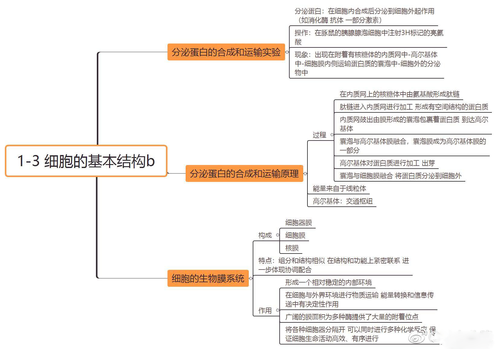 高中生物必修一思维导图,重要知识点汇总