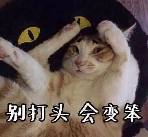 撩妹?也是需要表情包哒