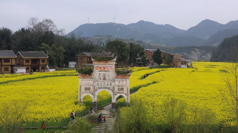 2020年3月15日 下午14:00 二,直播地点:凤冈县新建镇长碛古寨 三,直播