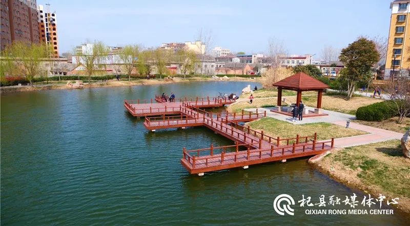 春花吐蕊万物复苏杞县小城春意渐浓
