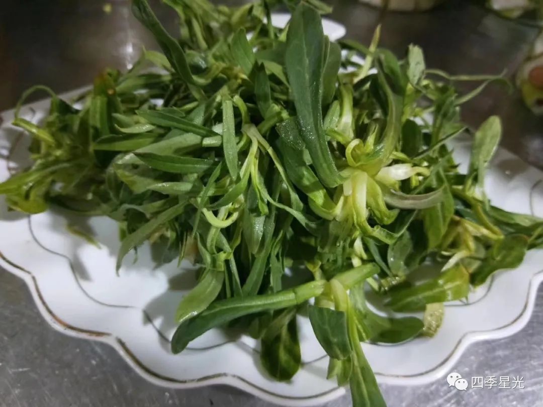 古扎菜,麦田里的野菜,打上一个鸡蛋,放上一点面粉,抓匀上笼蒸熟,蒜泥